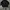 Doublet Mohair Black Doll Cardigan  photo 5