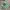Jersey Umbro Template Colour Green White Number 18 photo 2