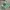 Jersey Umbro Template Colour Green White Number 18