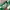 Jersey Umbro Template Colour Green White Number 18 photo 4