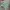 Jersey Umbro Template Colour Green White Number 18 photo 3