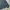 DICKIES JT75 AF Eisenhower unlined Work jacket Air force blu photo 6