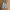 OshKosh Casual Cardigan Pria Gray