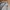 OshKosh Casual Cardigan Pria gray photo 5