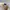 Topi Kangol Ventair Tropic 504 Beige Color Flatcap Second Or photo 3