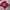 Tshirt anime onepiece monkey d luffy colour red photo 2