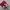 Tshirt anime onepiece monkey d luffy colour red photo 1