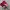 Tshirt Anime Onepiece Monkey D Luffy Colour Red