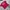 Tshirt anime onepiece monkey d luffy colour red photo 3