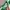 Jersey Template Umbro Colour Green & Yellow Number Three photo 4