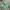 Jersey Template Umbro Colour Green & Yellow Number Three photo 3
