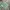 Jersey Template Umbro Colour Green & Yellow Number Three photo 2