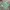 Jersey Template Umbro Colour Green & Yellow Number Three