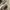 Calvin Klein Casual Sneakers Wanita cream photo 3