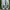 Nike Sportswear Sneakers Pria white photo 5