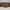 calvin klein leather belt photo 1