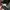 hat ossiane camo thanksinsomnia new bnwt photo 8