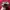 hat ossiane camo thanksinsomnia new bnwt photo 7