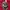 hat ossiane camo thanksinsomnia new bnwt photo 6