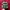 hat ossiane camo thanksinsomnia new bnwt photo 1