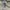 Pendleton Sherpa Fleece Jaket photo 10