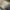 ST DUPONT Paris Tassel Loafer Classic Kulit Pria Mewah photo 6