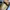 ST DUPONT Paris Tassel Loafer Classic Kulit Pria Mewah photo 5