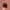 New era 9fifty NY corduroy black photo 1