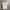 Armani Jeans White Polo Shirt