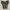 Converse Chuck Taylor 70s High Chinese New Year 2020 photo 5