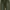 Japanese Brand Flare Jeans Boot Cut photo 5