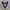 Converse One Star Suede Mid Purple Fuzz 2018 (162578C) photo 5