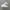 Nike Air Max 95 Essential photo 4