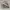 Adidas SL 7200 photo 1