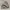 Adidas Yeezy 500 Blush Mens