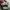 Adidas Yeezy 500 blush mens photo 5