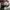 Adidas Yeezy 500 blush mens photo 6