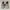Adidas Yeezy 500 blush mens photo 3