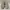 Adidas Yeezy 500 blush mens photo 2
