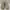 Adidas Yeezy 500 Blush Mens