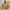 Oioi Streetwear Skater Sweater Pria tan photo 1