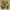 Adidas Yeezy 350 Cloud White photo 4