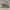Adidas Yeezy 350 Cloud White photo 1