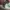 Adidas Yeezy 350 Cloud White photo 6