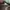 Adidas Yeezy 350 Cloud White photo 5