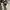 Polo Ralph Lauren Y2K Polo shirt Pria white black photo 7