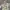Zara Kids Hoodie Camouflage