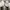 converse 70s Hi Optical White photo 7