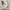 Under Armour Streetwear Sportswear Sweater Pria white photo 3