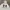 Under Armour Streetwear Sportswear Sweater Pria white photo 2